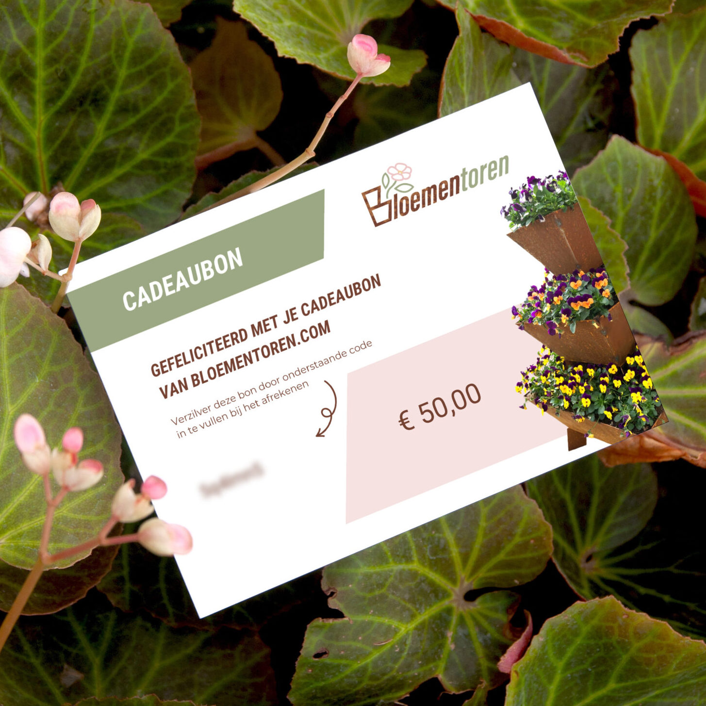 cadeaubon 50 euro