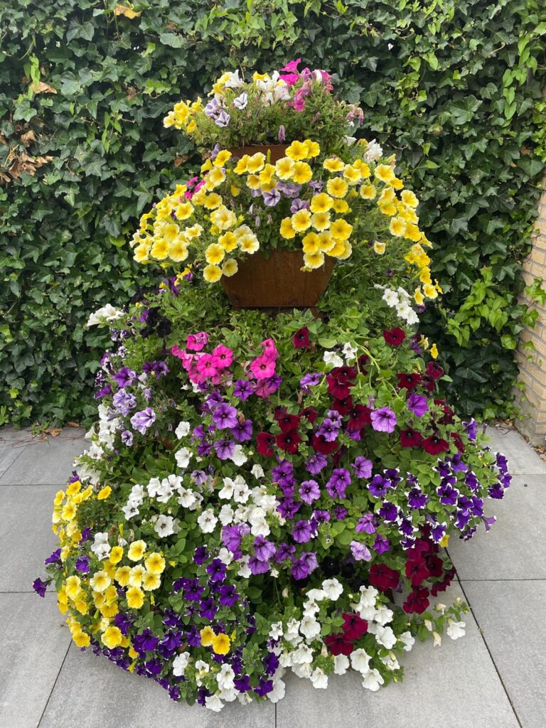 Afbeelding #1 van Diaan