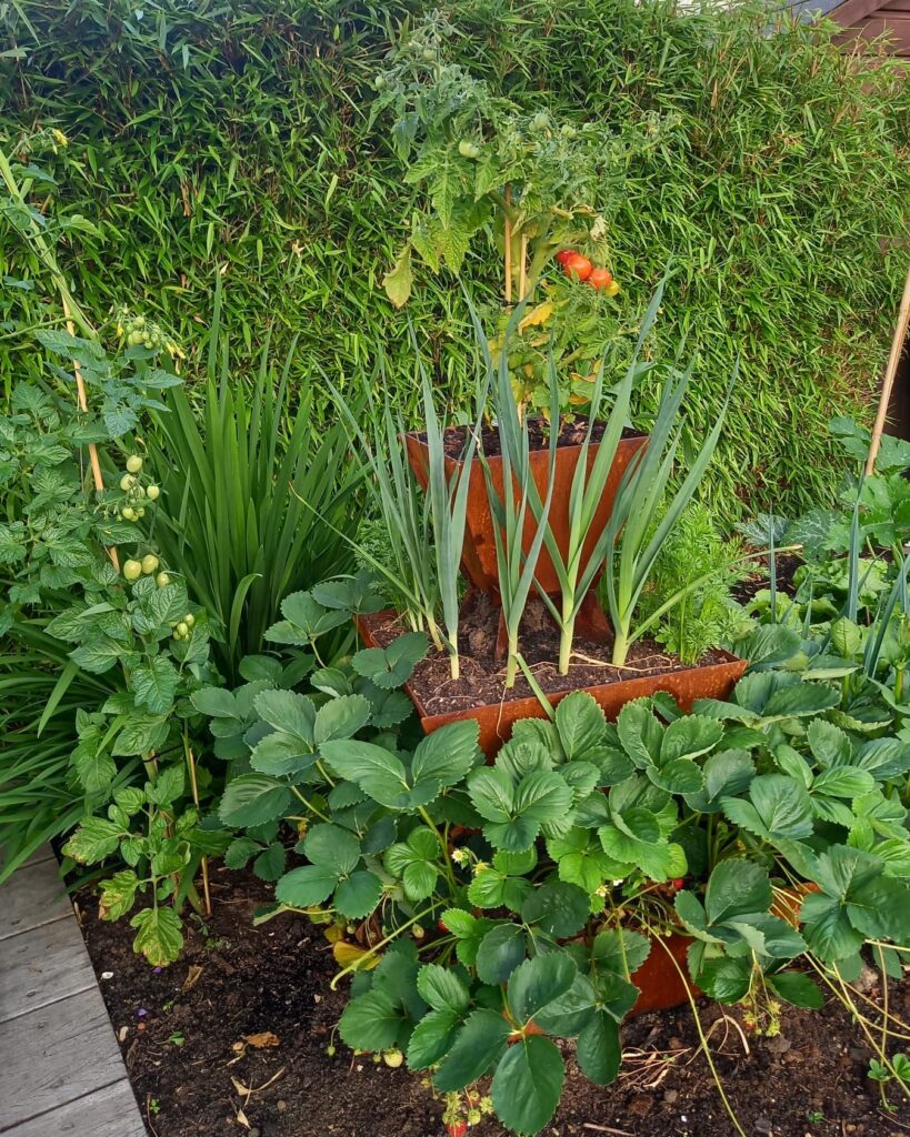 Afbeelding #1 van Leo de jong