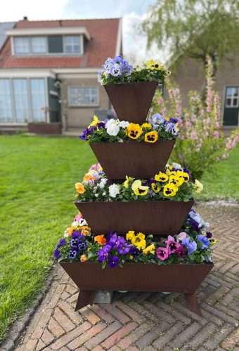 bloementoren viooltjes